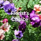 Florist Choice